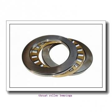 INA WS89310  Thrust Roller Bearing
