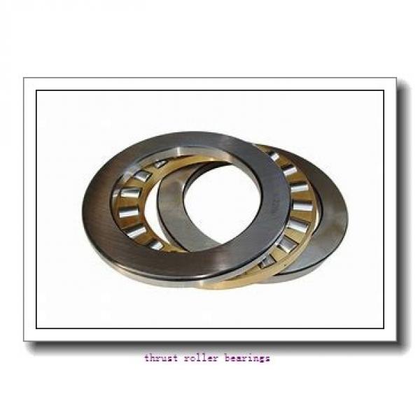 INA AS100135  Thrust Roller Bearing #1 image